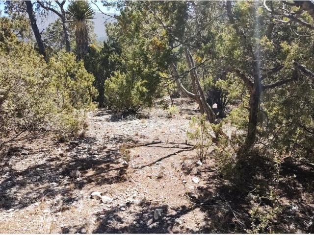 Terreno en venta en San Antonio de las Alazanas, Arteaga, Coahuila de Zaragoza