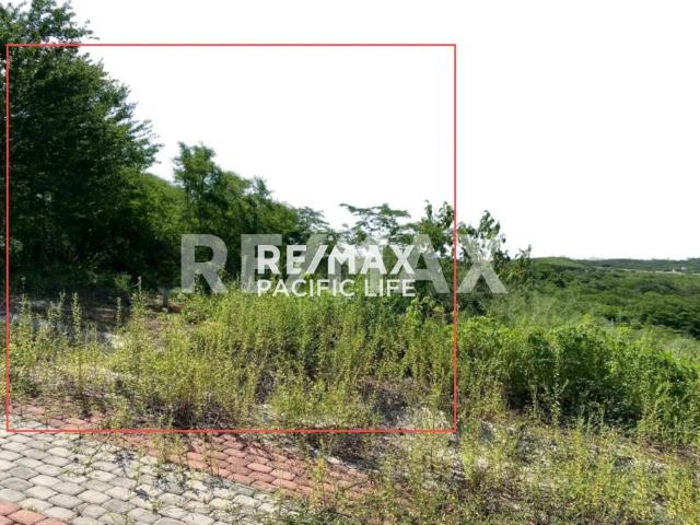 TERRENO EN VENTA EN SAN ANTONIO HILLS