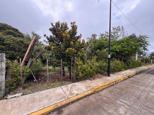 TERRENO EN VENTA EN SAN ANTONIO, XICTOTEPEC