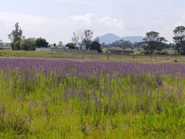 Terreno en Venta en San Antonio Zatlahuco, San Juan del Río, Querétaro