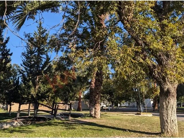 Terreno en venta en San Armando, Torreón, Coahuila de Zaragoza