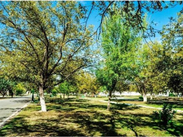 Terreno en Venta en San Armando, Torreón, Coahuila de Zaragoza