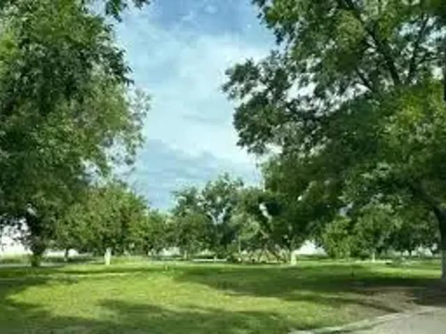 ? Terreno en Venta en San Armando