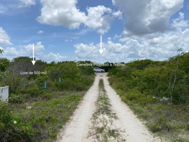 Terreno en Venta en San Benito, Dzemul, Yucatán 4