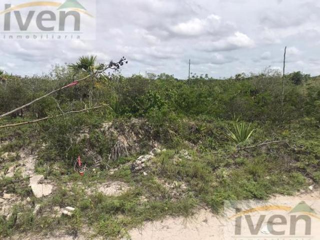 TERRENO EN VENTA EN SAN BENITO YUCATAN