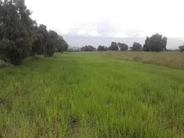 Terreno en venta en San Diego, Texcoco, México