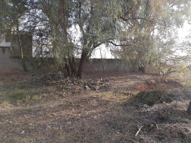 TERRENO EN VENTA EN SAN FELIPE