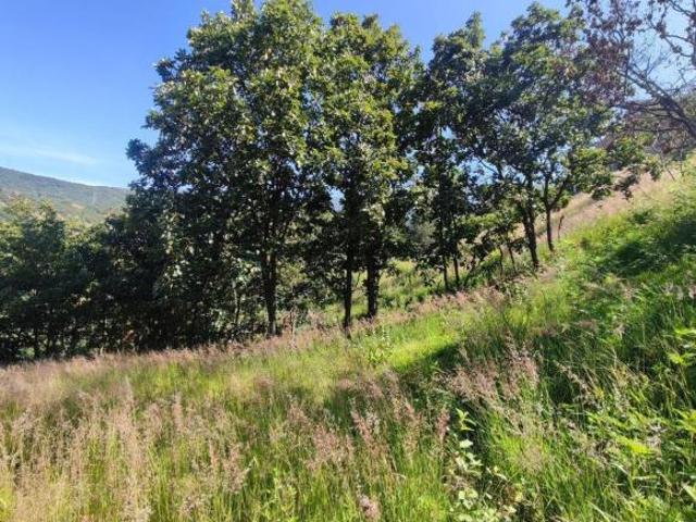 TERRENO EN VENTA EN SAN FELIPE DEL AGUA