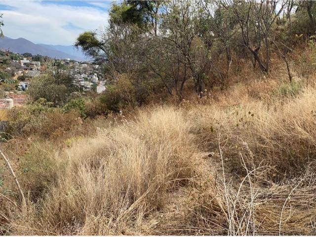 Terreno en venta en San Felipe del Agua, Oaxaca de Juárez, Oaxaca
