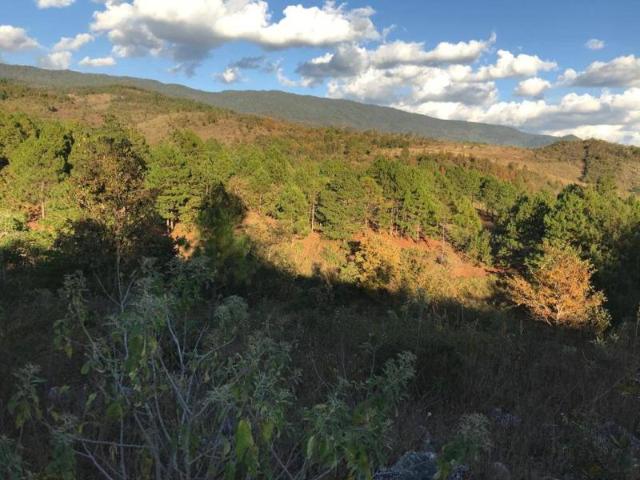 Terreno en venta en San Felipe Ecatepec, San Cristóbal de las Casas, Chiapas