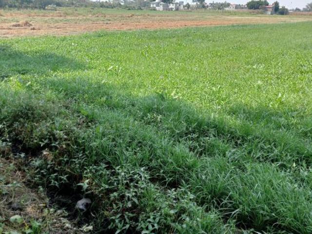 Terreno en venta en San Felipe Texcoco de Mora Estado de Mèxico