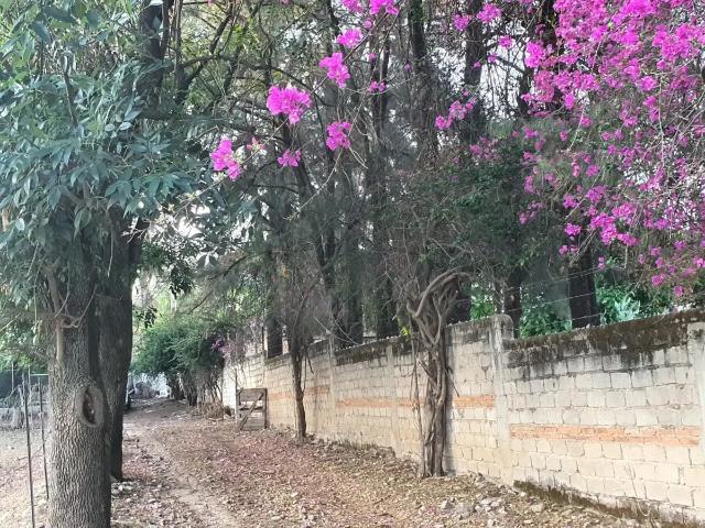 Terreno en venta en San Francisco Tesistán, Zapopan, Jalisco