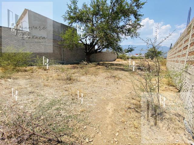 Terreno en venta en San Francisco Tutla, Santa Luc?a del Camino, Oaxaca