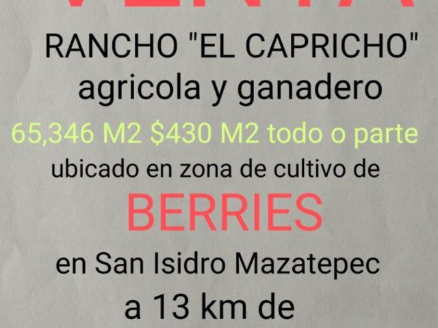 Terreno en venta en San isidro mazatepec