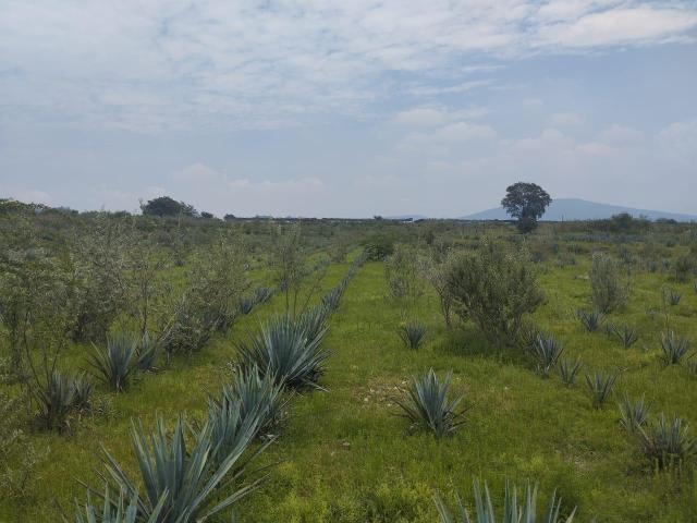Terreno en venta en San isidro mazatepec
