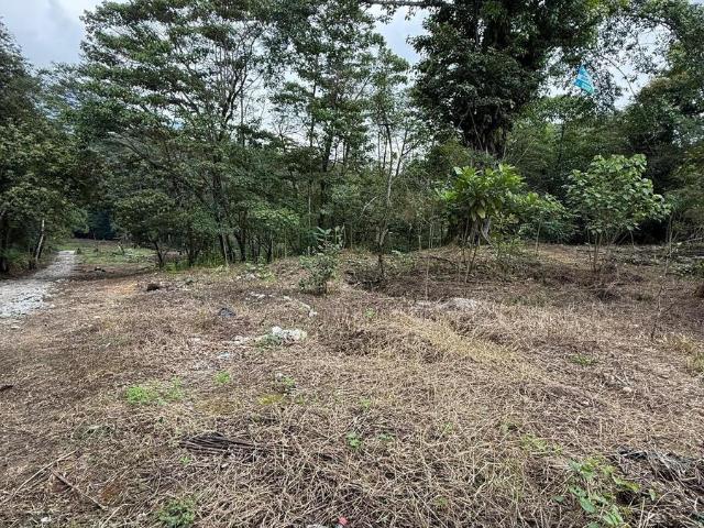 TERRENO EN VENTA EN SAN ISIDRO, XICOTEPEC