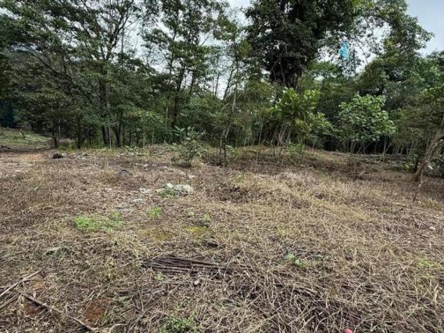 TERRENO EN VENTA EN SAN ISIDRO, XICOTEPEC