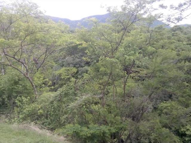 Terreno en venta en San Isidro, Yautepec, Morelos