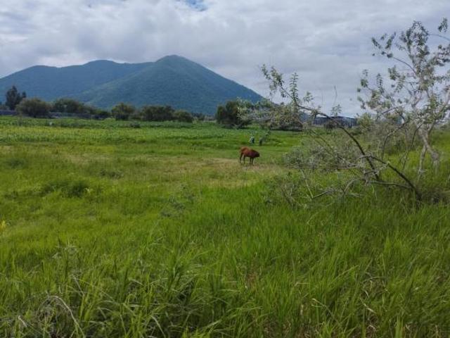 Terreno en venta en San Isisdro mazatepec