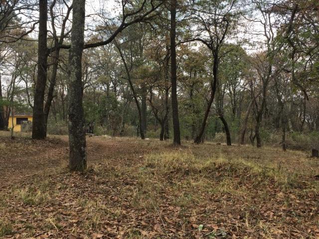 Terreno en venta en San Jose El Vidrio, Nicolás Romero, México