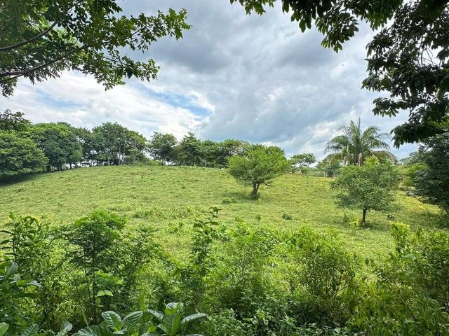 TERRENO EN VENTA EN SAN JUAN BAUTISTA TUXTEPEC OAXACA