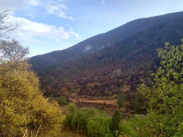 Terreno en Venta en San Juan de los Dolores