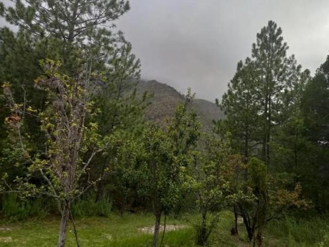 Terreno en Venta en San Juan de los Dolores