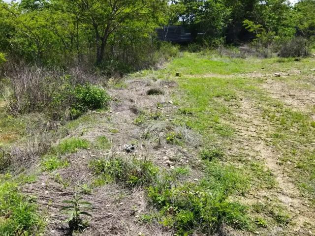 Terreno en venta en San Lorenzo Cacaotepec, San Lorenzo Cacaotepec, Oaxaca