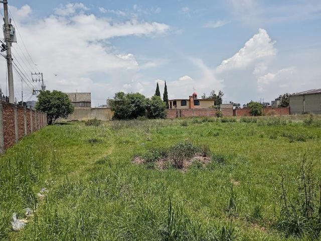 Terreno en Venta en San Lorenzo Tepaltitl?n Toluca