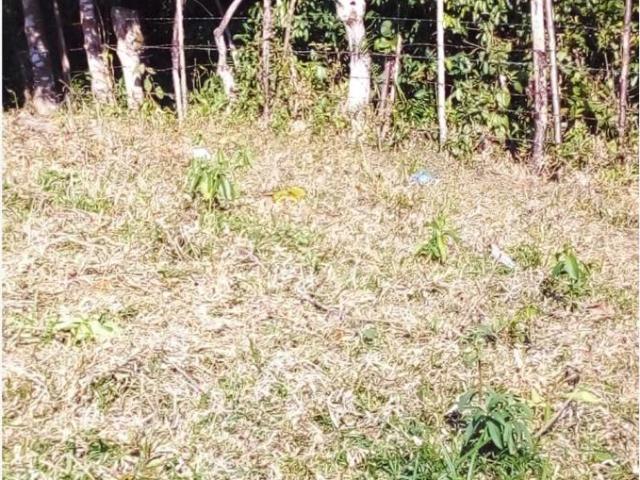 Terreno en venta en San Lucas Ojitlán, San Lucas Ojitlán, Oaxaca