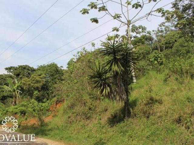 TERRENO EN VENTA EN SAN MARCOS, CERCA DE COATEPEC