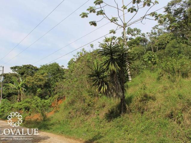 TERRENO EN VENTA EN SAN MARCOS, CERCA DE COATEPEC