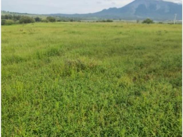 Terreno en venta en San Marcos, San Marcos, Jalisco