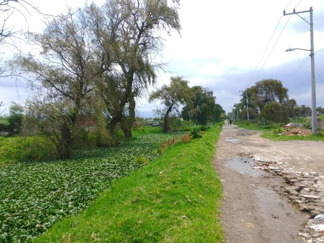 Terreno en Venta en San Mateo Otzacatipan, Toluca, M?xico
