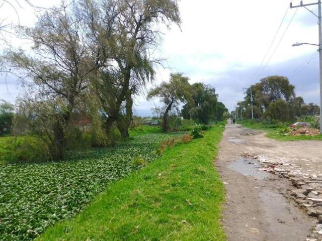 Terreno en Venta en San Mateo Otzacatipan, Toluca, México