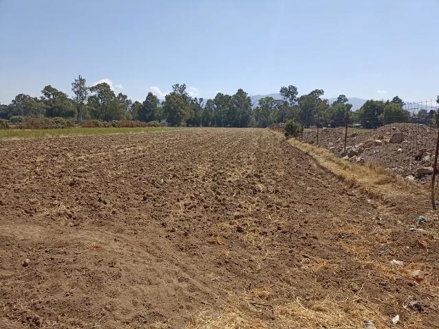 Terreno en venta en San Miguel Coatlinchan, Texcoco, México