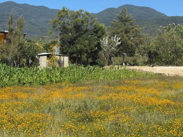 Terreno en venta en san Miguel Guelache etla