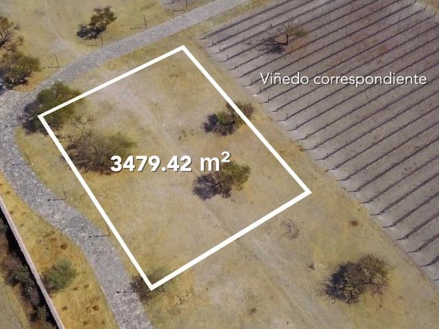 Terreno en Venta en San Miguel de Allende Guanajuato