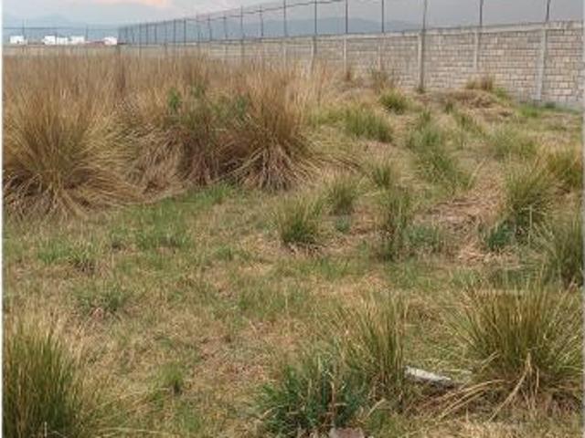 Terreno en venta en San Miguel Totocuitlapilco, Metepec, México