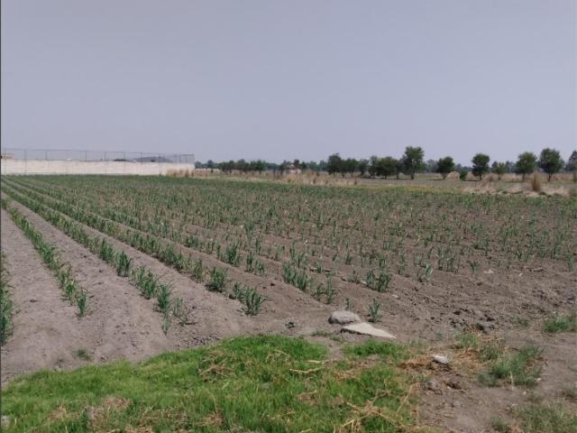 Terreno en venta en San Miguel Totocuitlapilco, Metepec, México