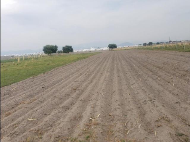 Terreno en venta en San Miguel Totocuitlapilco, Metepec, México