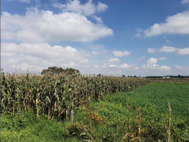 Terreno en venta en San Miguel Totocuitlapilco, Metepec, México