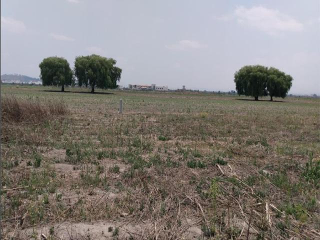 Terreno en venta en San Miguel Totocuitlapilco, Metepec, México
