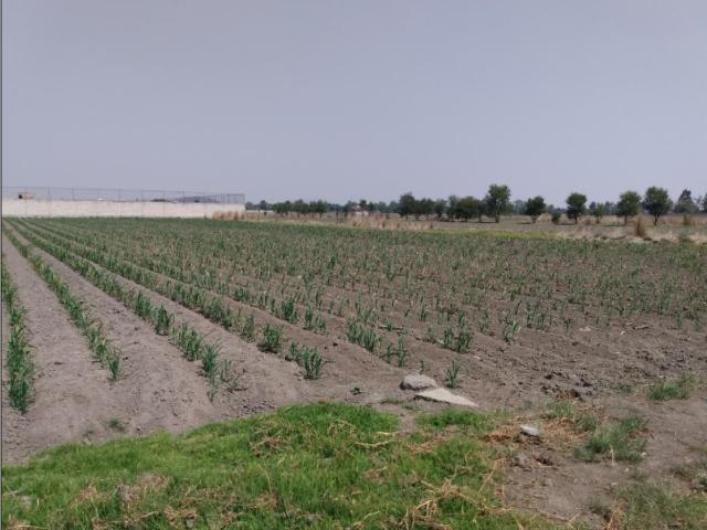 Terreno en venta en San Miguel Totocuitlapilco, Metepec, México