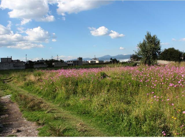 Terreno en venta en San Miguel Totoltepec, Toluca, México