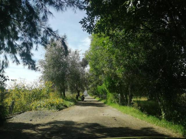 Terreno en venta en San Miguel Xoxtla, San Miguel Xoxtla, Puebla