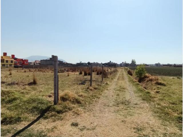 Terreno en venta en San Miguel Zinacantepec Centro, Zinacantepec, México
