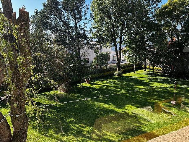 Terreno en Venta en San Nicol?s Totolapan con Entorno Natural y Gran Potencial de Desarrollo