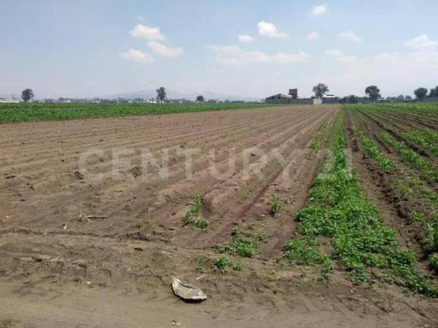 Terreno en Venta en San Pablo Atlazapan, Chalco, México