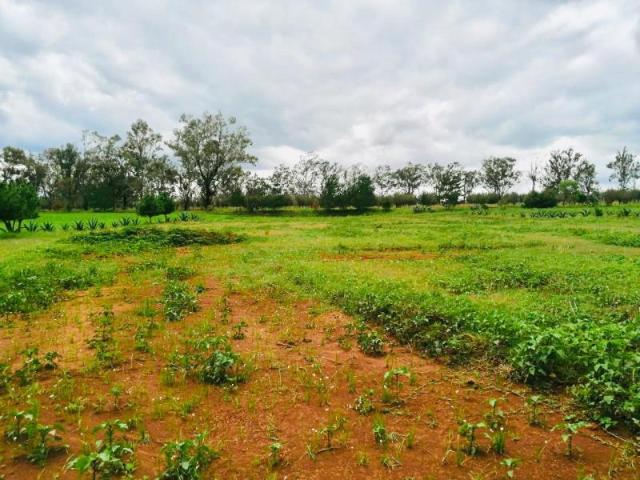 Terreno en venta en San Pablo Ojo de Agua, Huasca de Ocampo, Hidalgo
